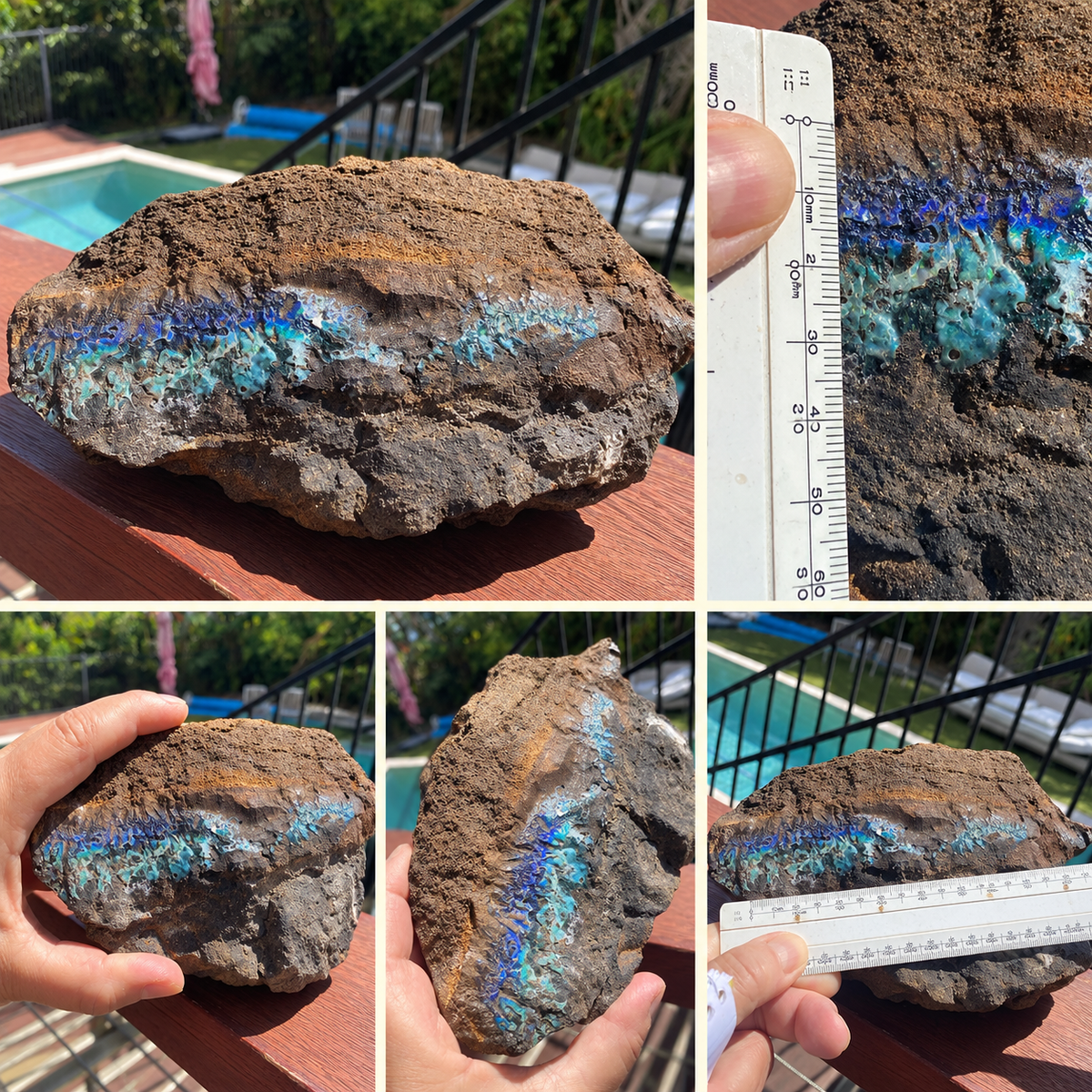 Queensland Boulder Opal Collector’s Display Specimen