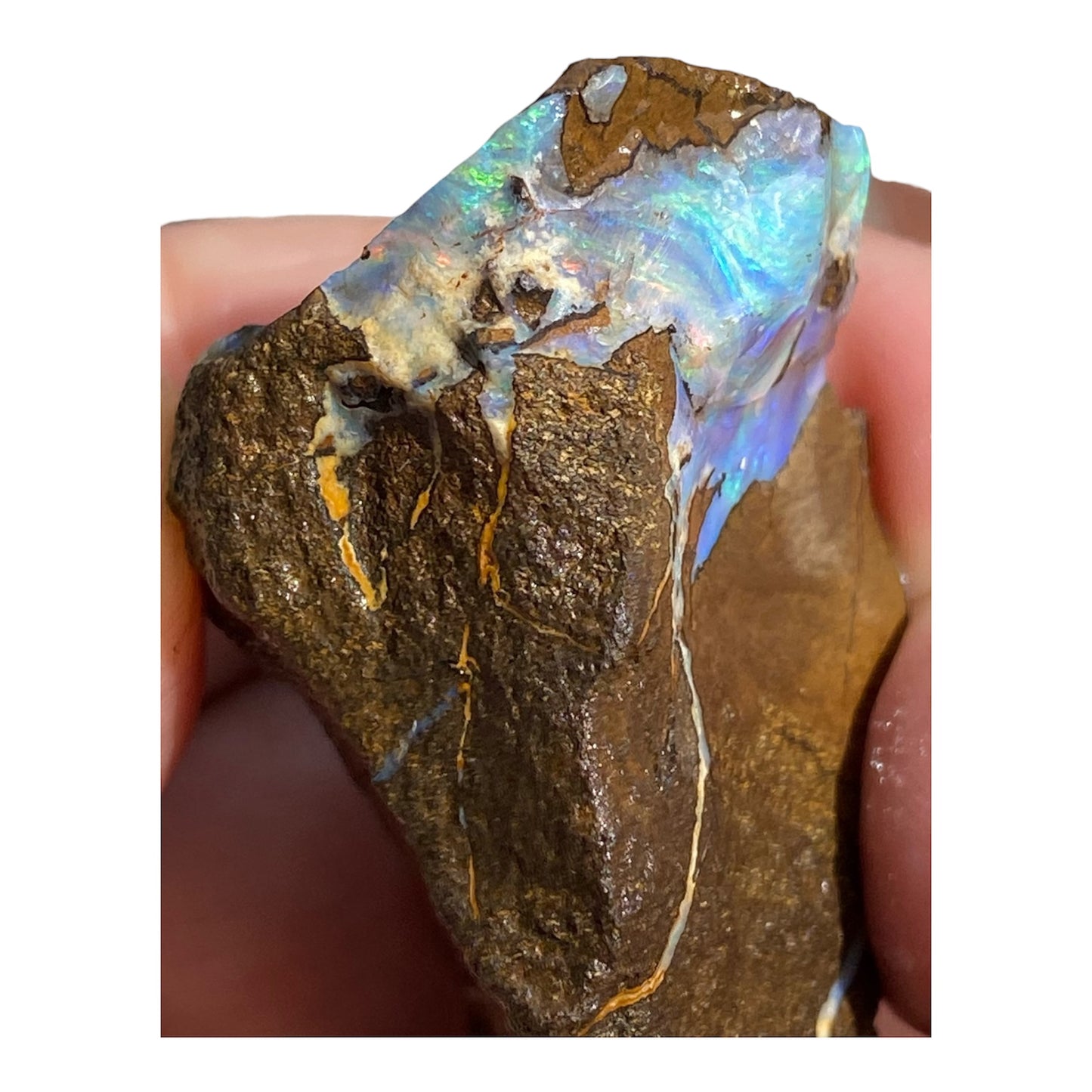 Natural Queensland Boulder Opal Specimen 156ct
