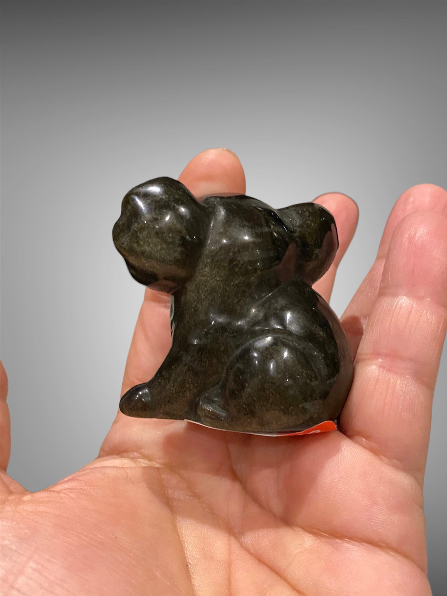 Obsidian Koala