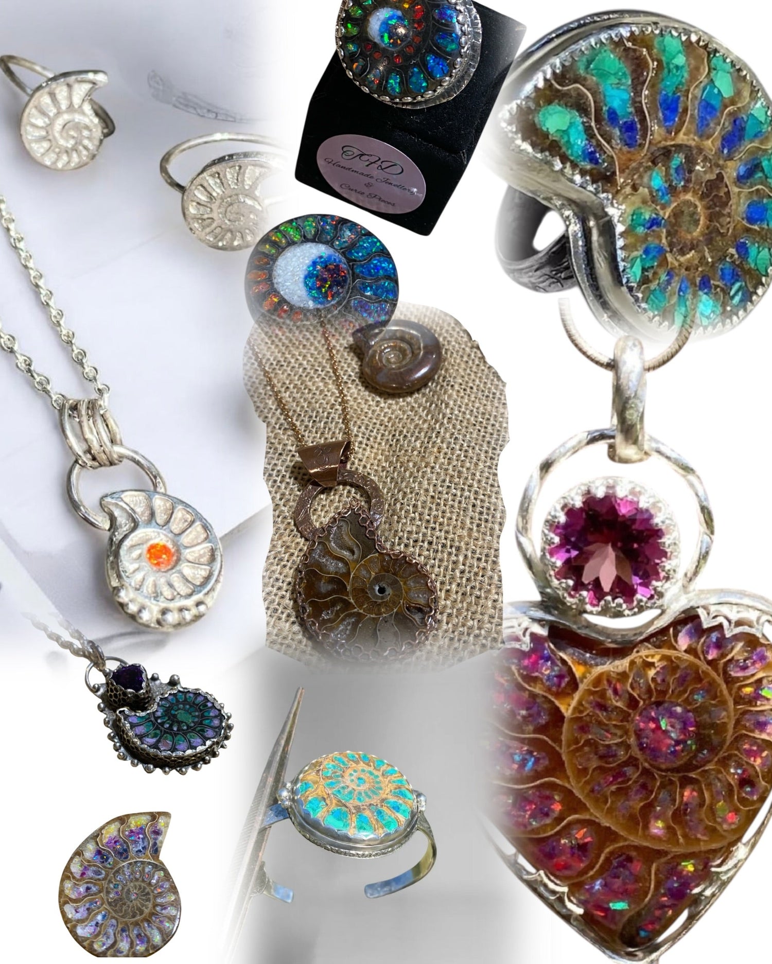 Signature Ammonite Jewellery