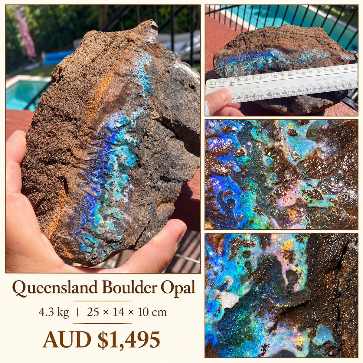 Queensland Boulder Opal Collector’s Display Specimen