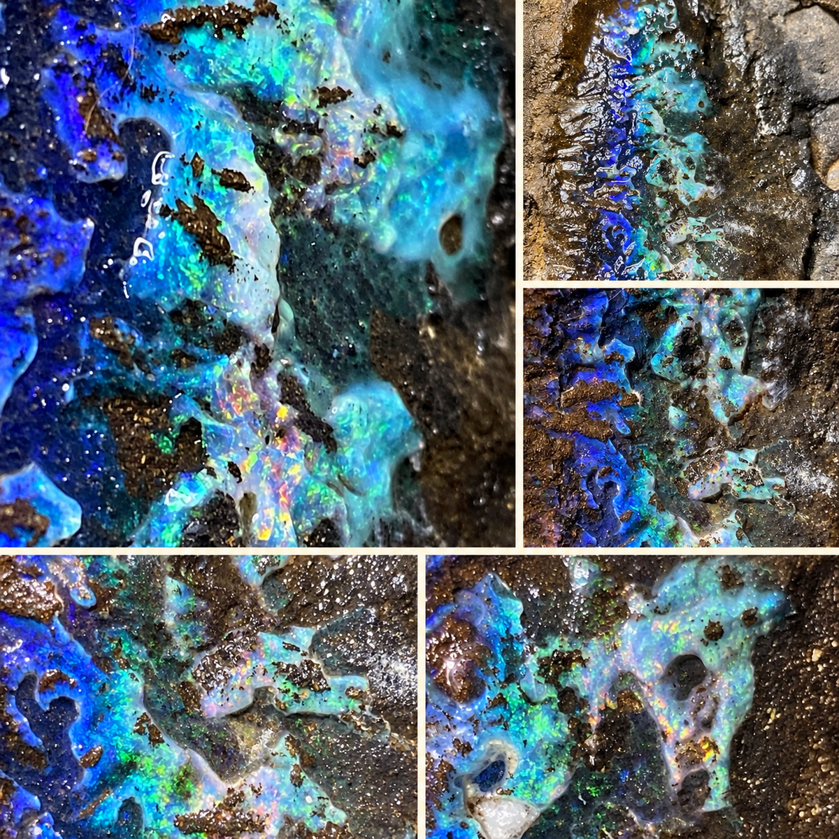 Queensland Boulder Opal Collector’s Display Specimen