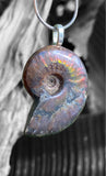 Ammonite Pendant