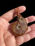 Copper Wrapped Ammonite Pendant