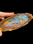 Queensland Boulder Opal Specimen 1.22kg