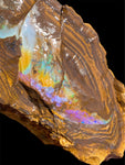 Queensland Boulder Opal Specimen 1.22kg