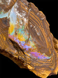 Queensland Boulder Opal Specimen 1.22kg