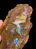 Queensland Boulder Opal Specimen 1.22kg