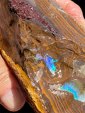 Queensland Boulder Opal Specimen 1.22kg