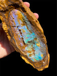 Queensland Boulder Opal Specimen 1.22kg