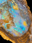 Queensland Boulder Opal Specimen 1.22kg