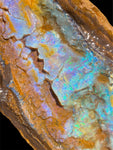 Queensland Boulder Opal Specimen 1.22kg