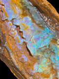 Queensland Boulder Opal Specimen 1.22kg