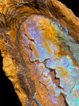 Queensland Boulder Opal Specimen 1.22kg