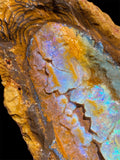 Queensland Boulder Opal Specimen 1.22kg