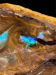 Queensland Boulder Opal Specimen 1.22kg