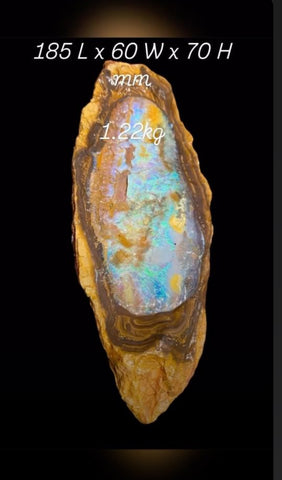 Queensland Boulder Opal Specimen 1.22kg