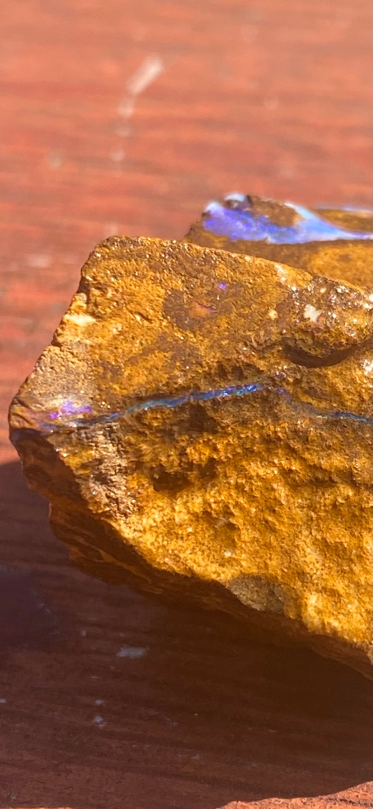 Natural Queensland Boulder Opal Specimen 123ct