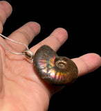 Ammonite Pendant