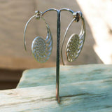 Nautilus Spiral Sterling Silver Earrings