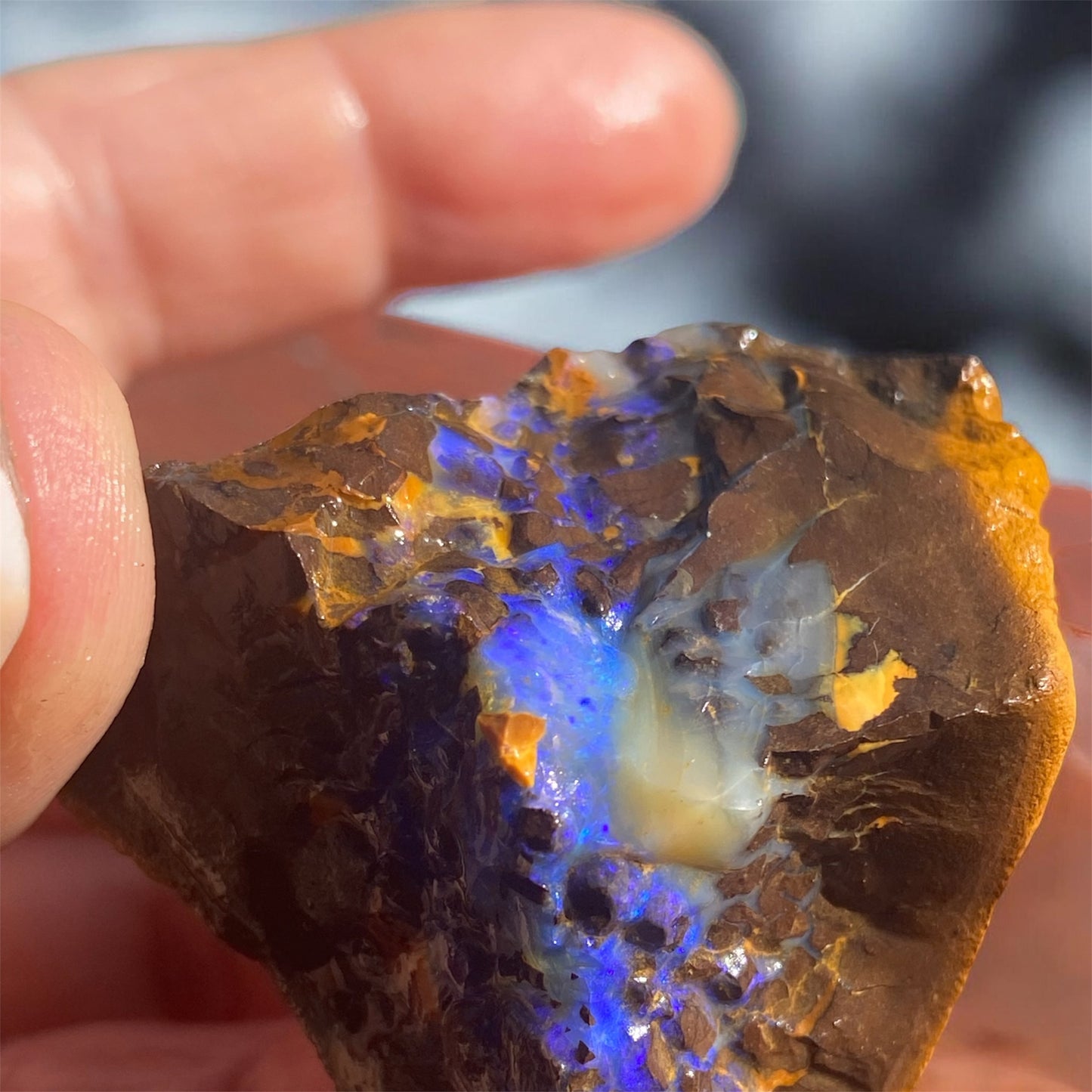 Natural Queensland Boulder Matrix Opal Specimen 360ct