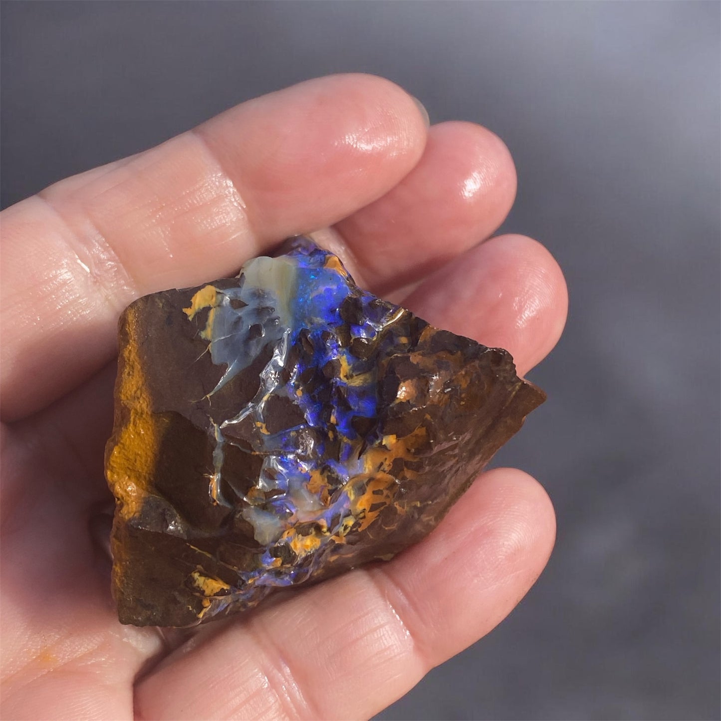 Natural Queensland Boulder Matrix Opal Specimen 360ct