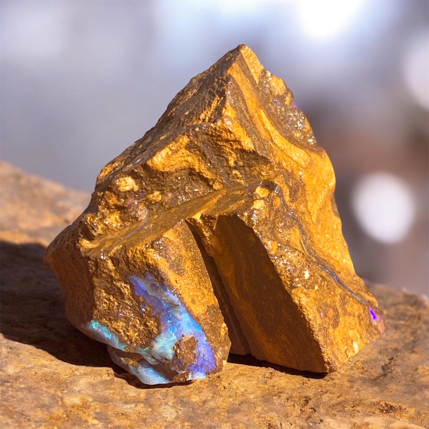 Natural Queensland Boulder Opal Specimen 123ct