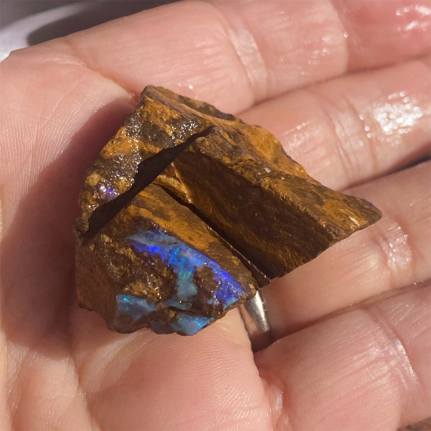 Natural Queensland Boulder Opal Specimen 123ct