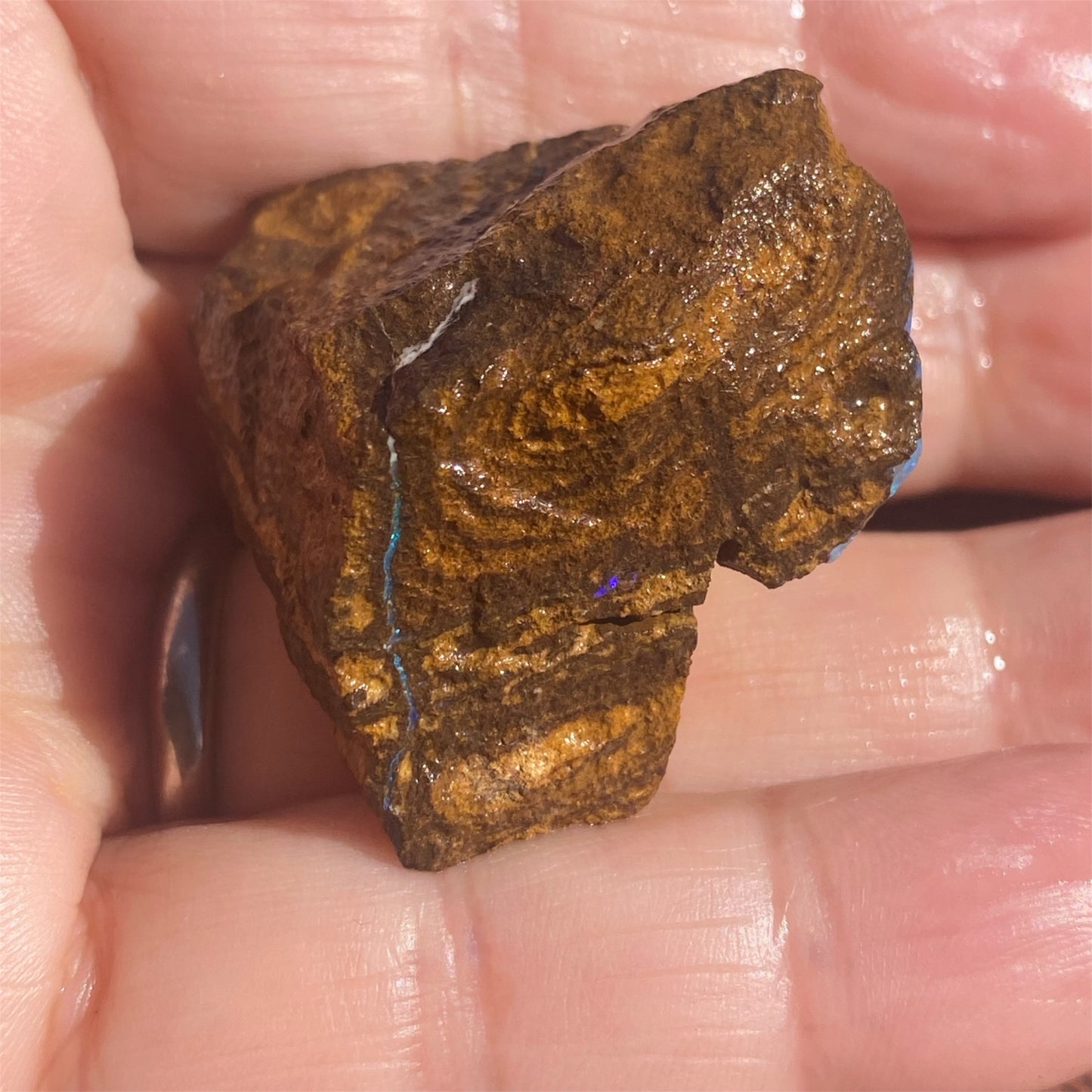 Natural Queensland Boulder Opal Specimen 123ct