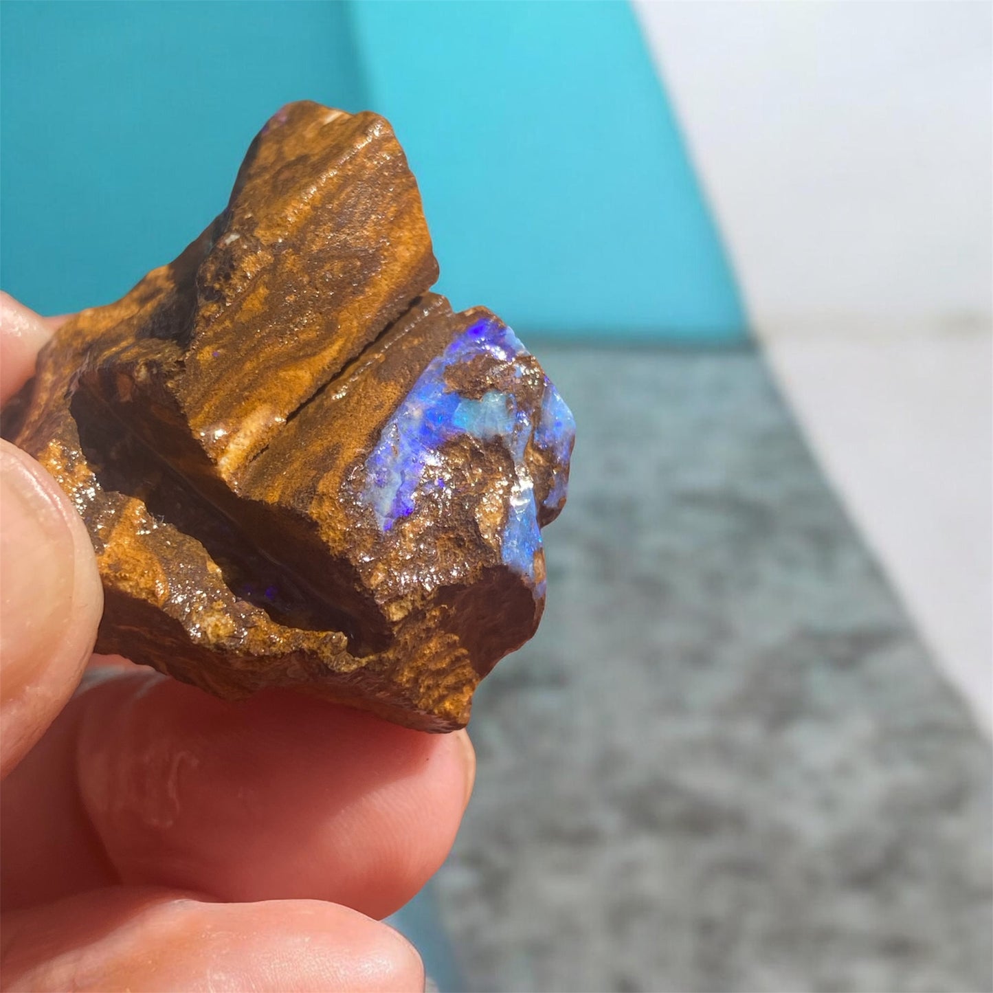Natural Queensland Boulder Opal Specimen 123ct