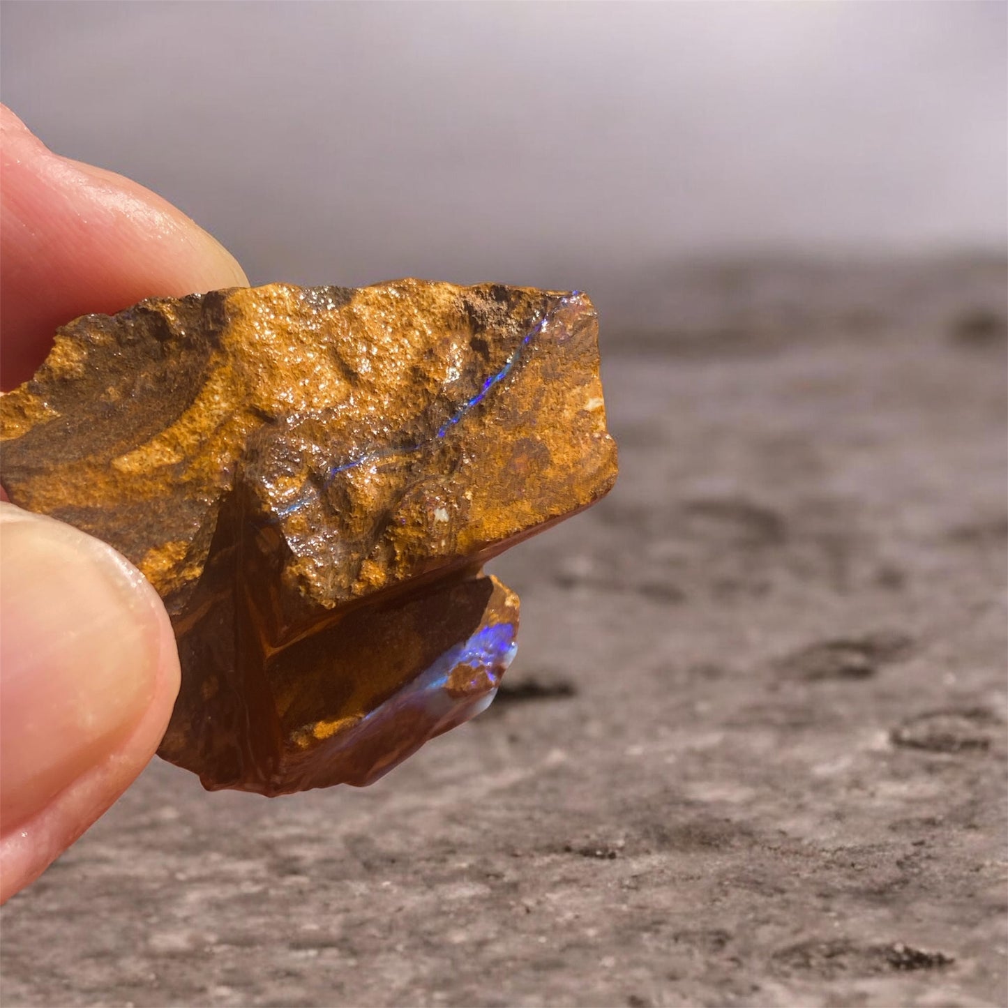 Natural Queensland Boulder Opal Specimen 123ct