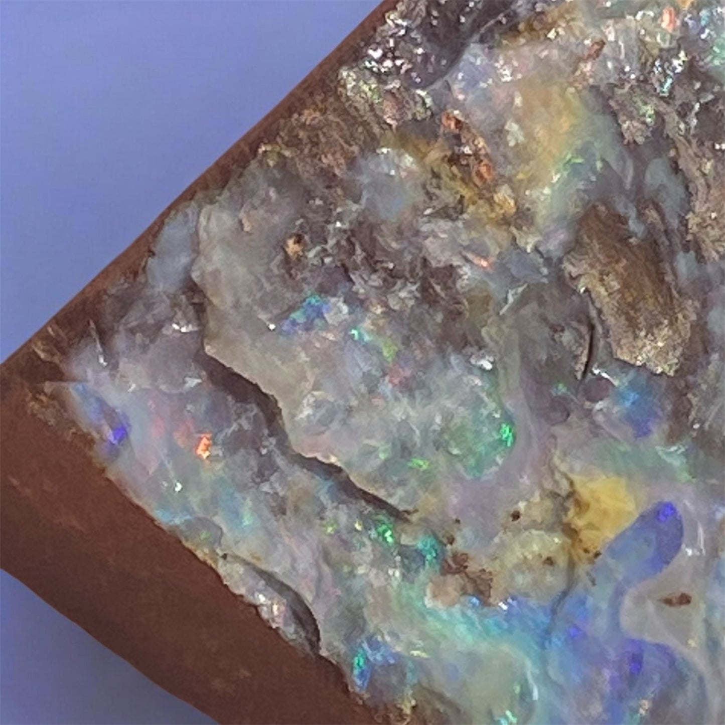 Natural Queensland Boulder Opal Split Specimen 188ct