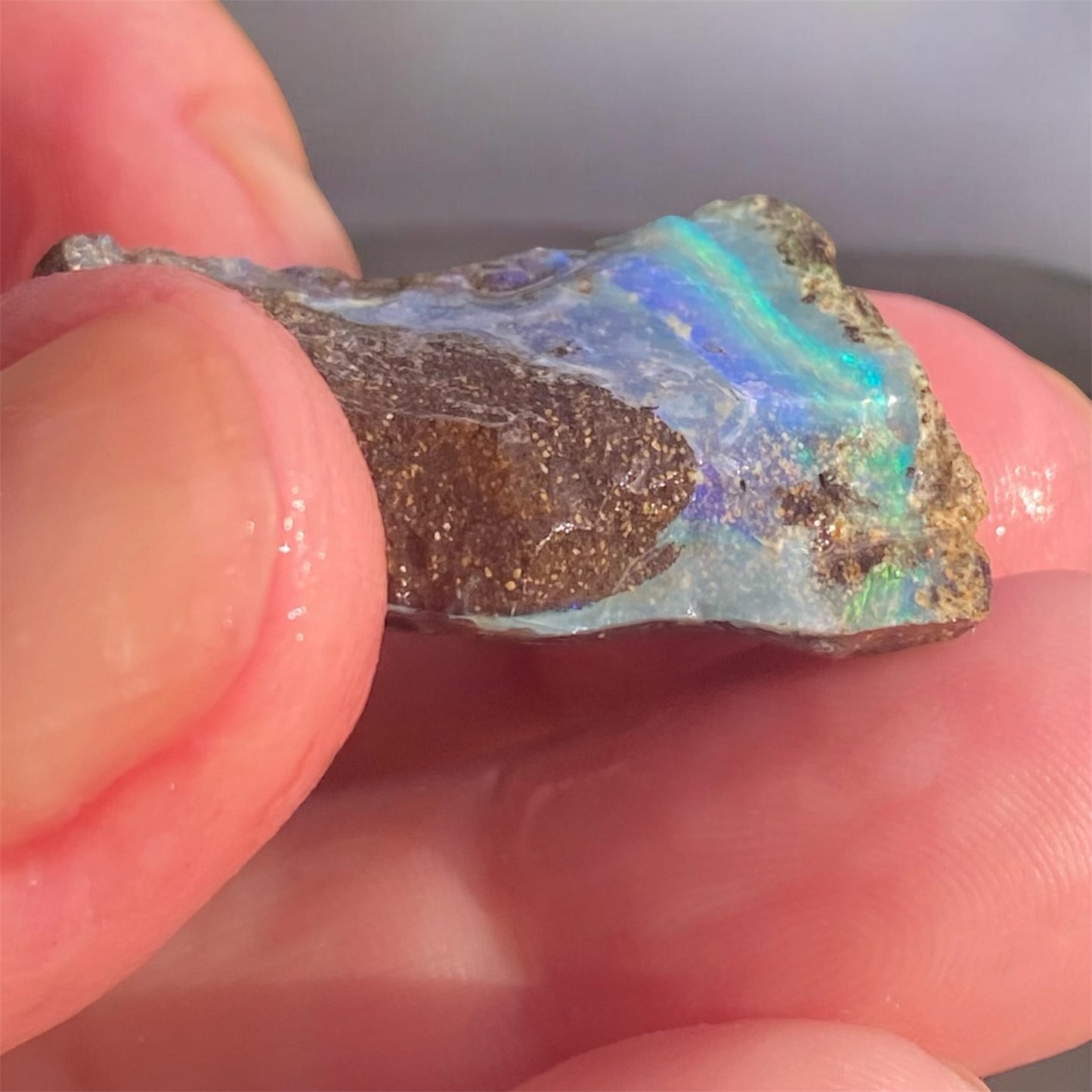 Queensland Boulder Opal Rough 52ct Natural Free Form Blue Green Opal