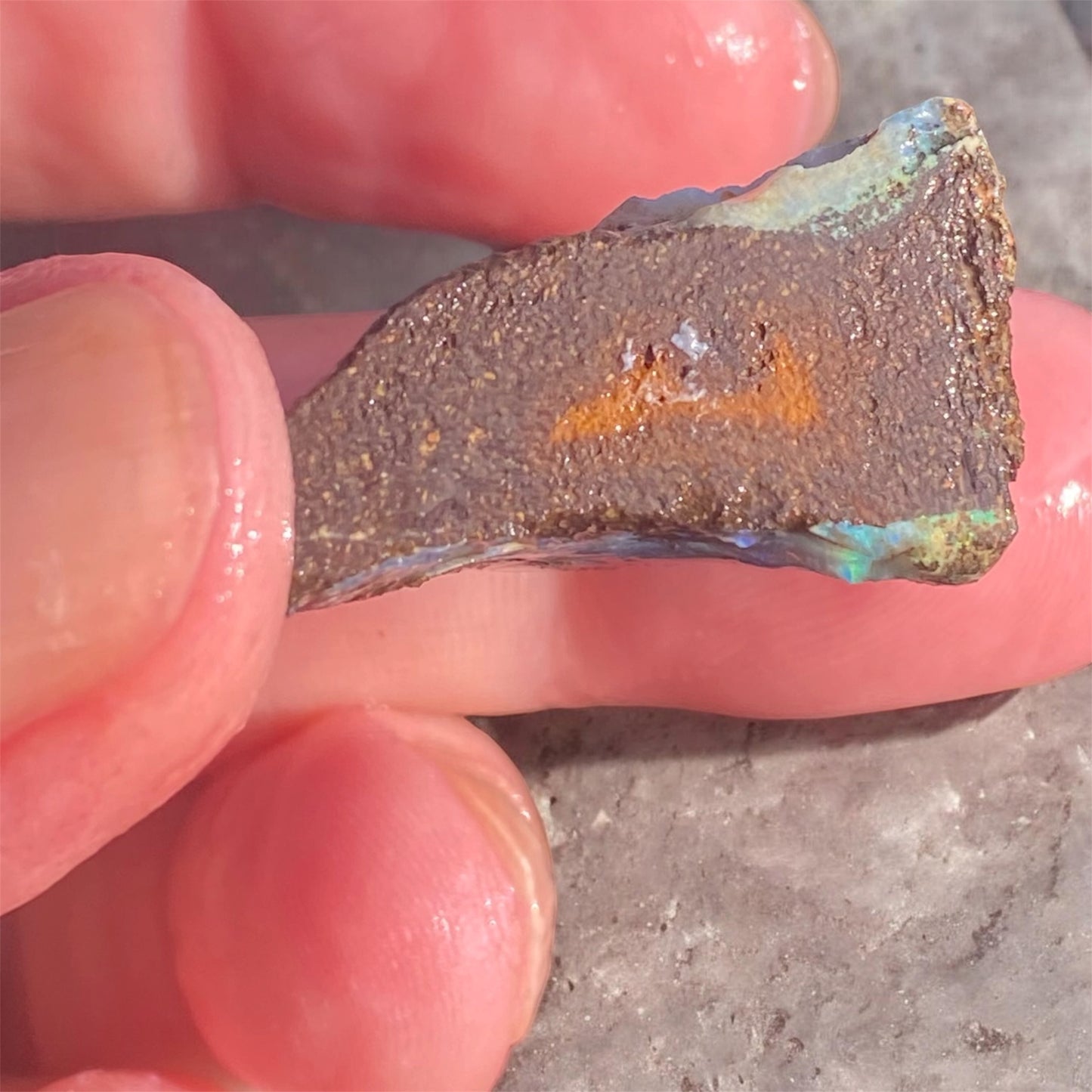 Queensland Boulder Opal Rough 52ct Natural Free Form Blue Green Opal