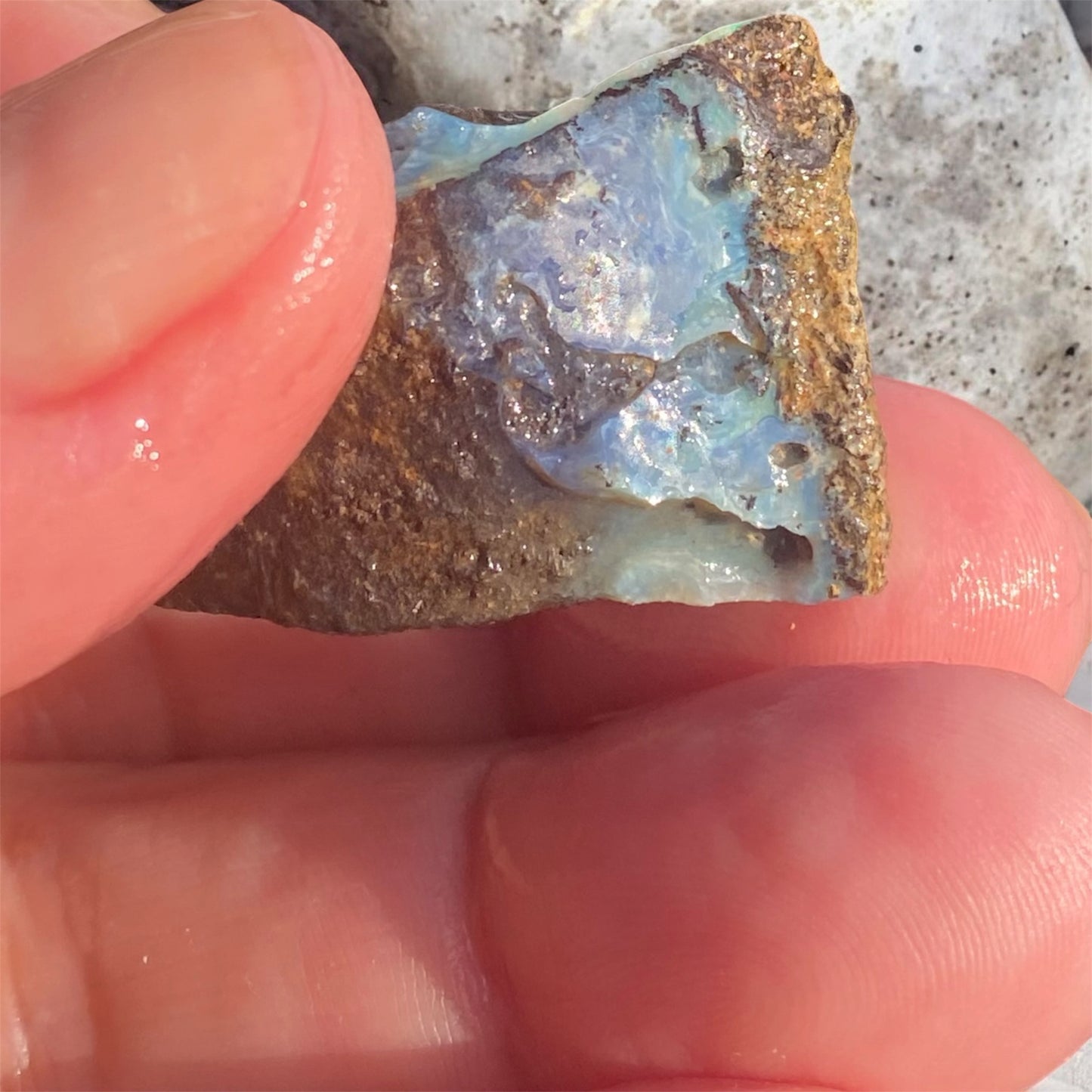 Queensland Boulder Opal Rough 52ct Natural Free Form Blue Green Opal