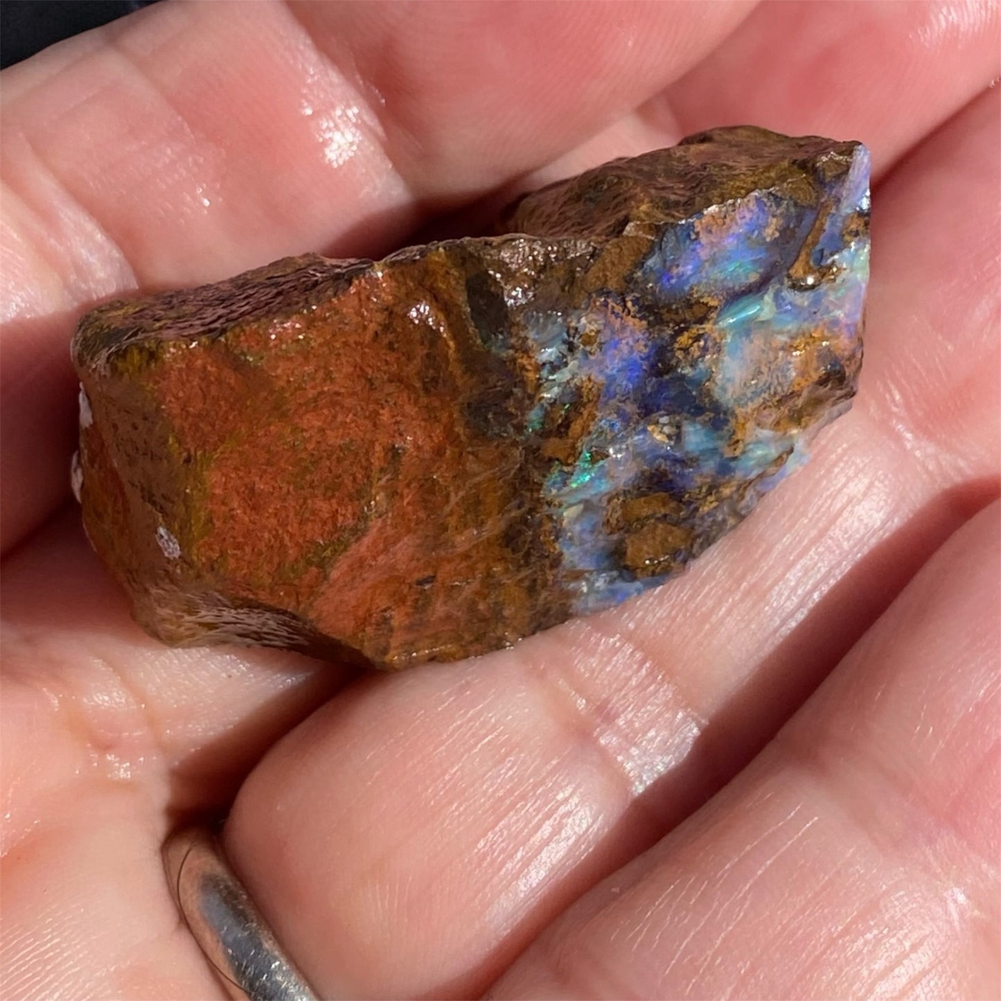 Natural Queensland Boulder Opal Rough 143ct Blue Crystal in Ironstone