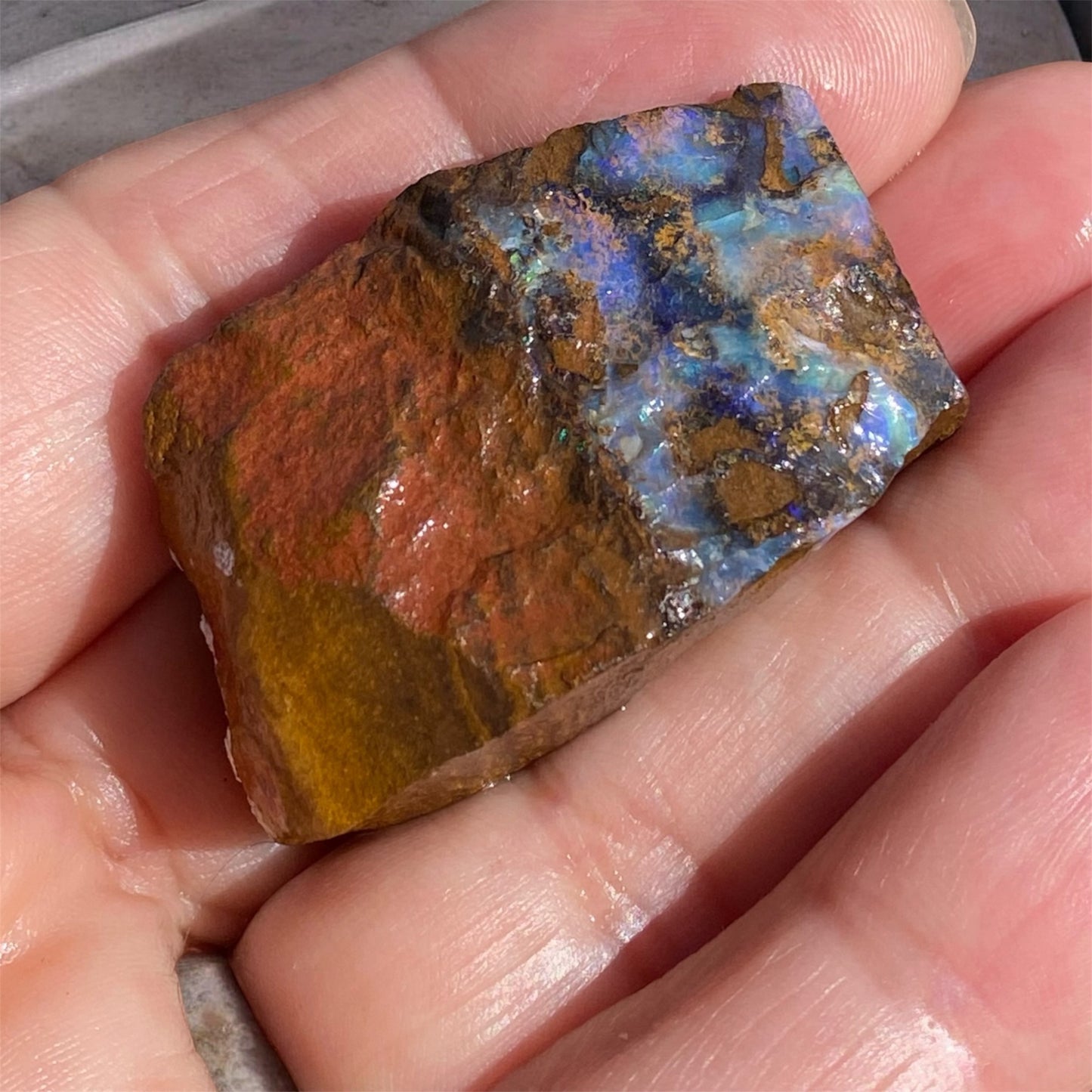 Natural Queensland Boulder Opal Rough 143ct Blue Crystal in Ironstone