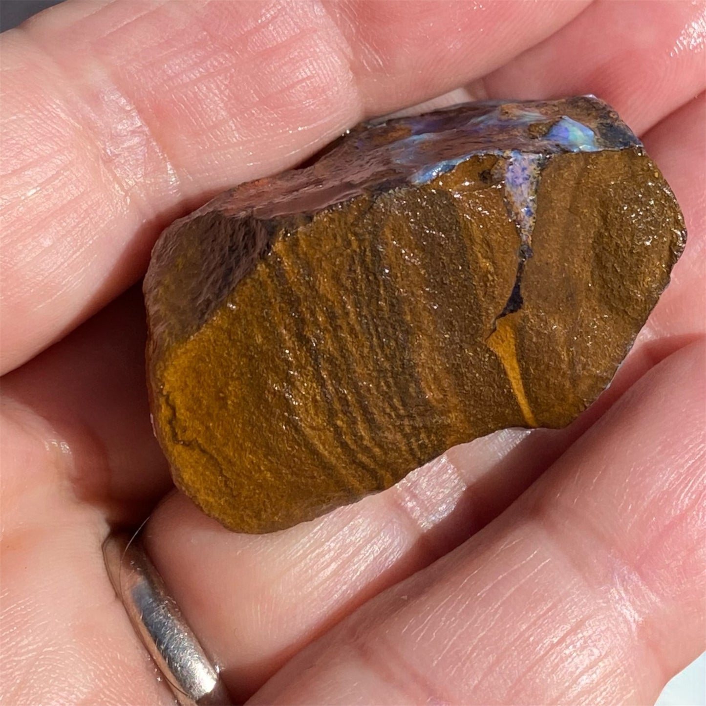 Natural Queensland Boulder Opal Rough 143ct Blue Crystal in Ironstone