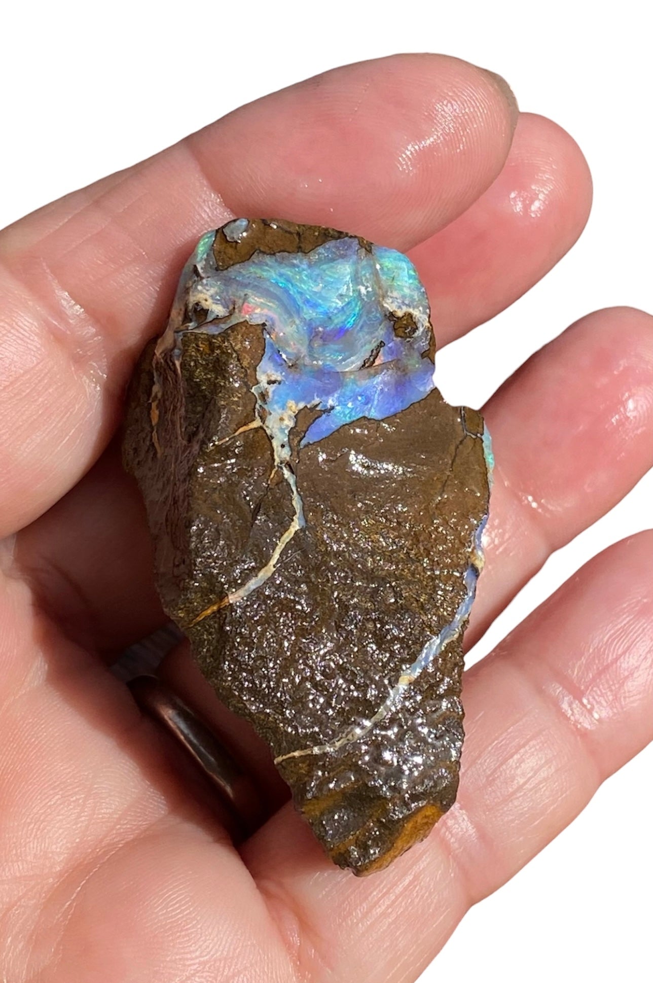 Natural Queensland Boulder Opal Specimen 156ct