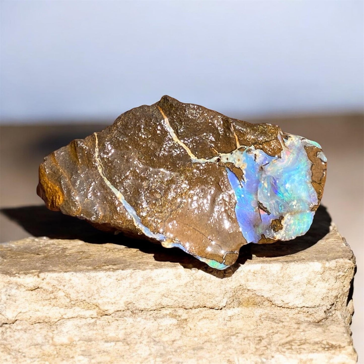 Natural Queensland Boulder Opal Specimen 156ct