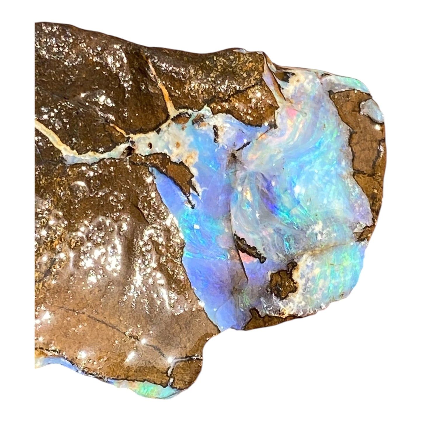 Natural Queensland Boulder Opal Specimen 156ct