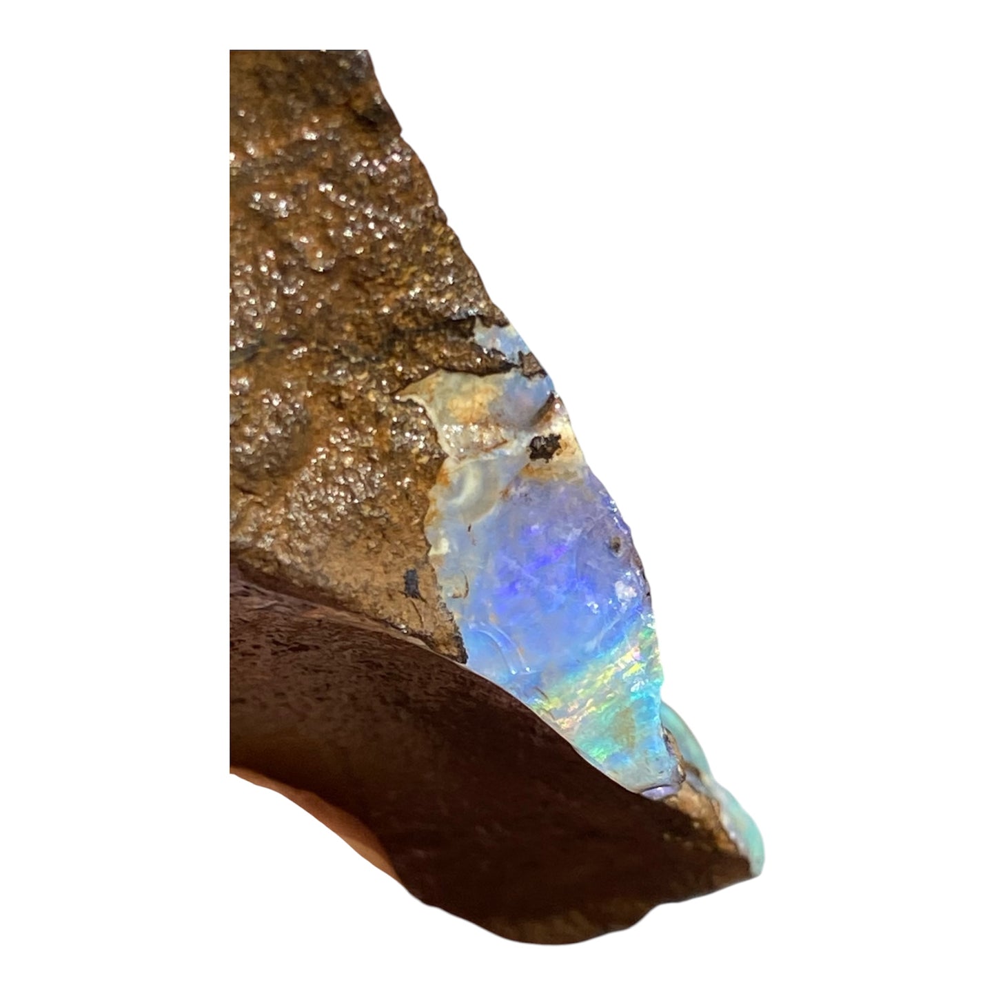 Natural Queensland Boulder Opal Specimen 156ct