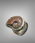 Iridescent Ammonite Ring