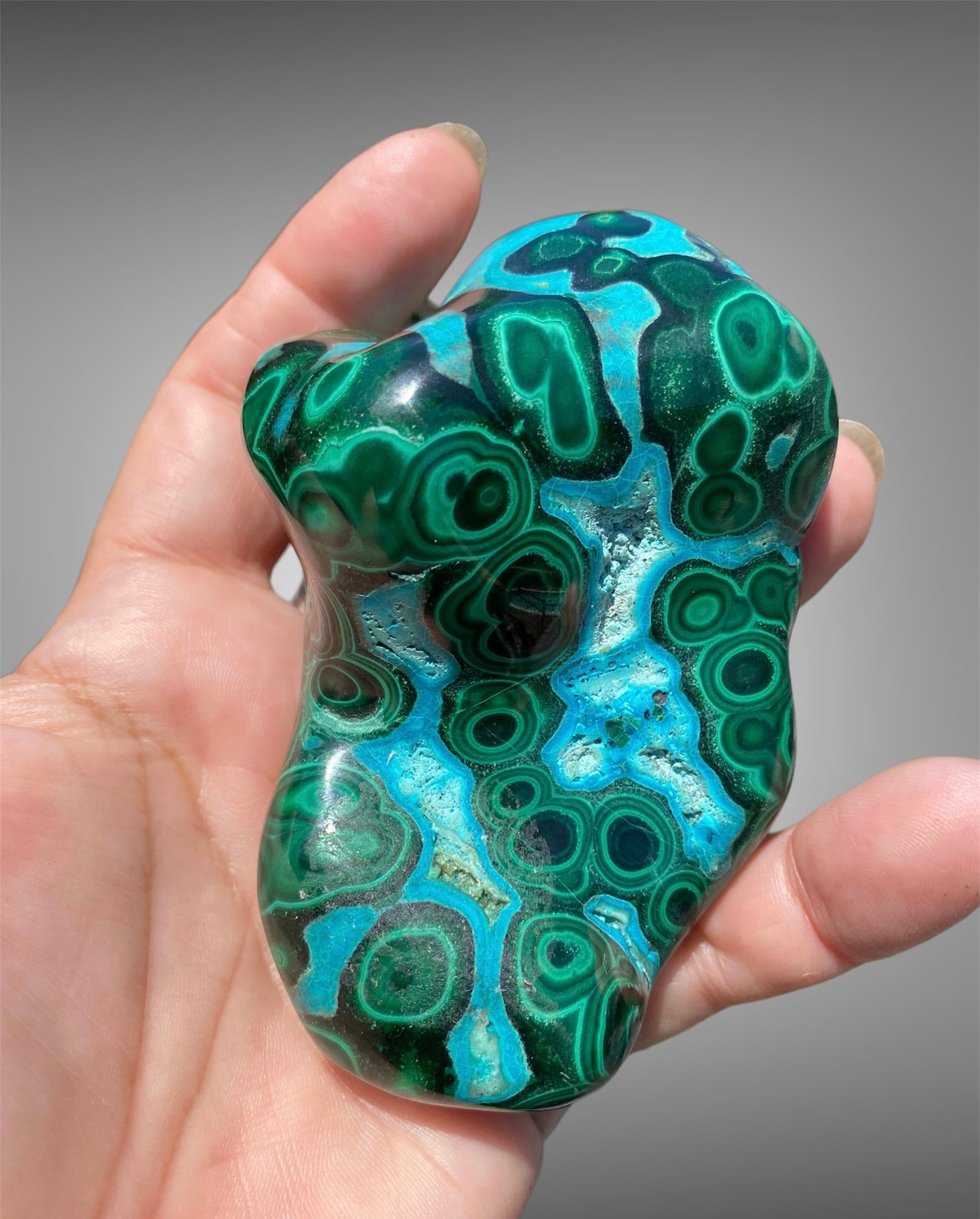 Malacholla Free Form Specimens