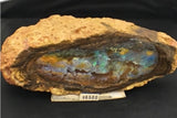 Queensland Boulder Opal Specimen