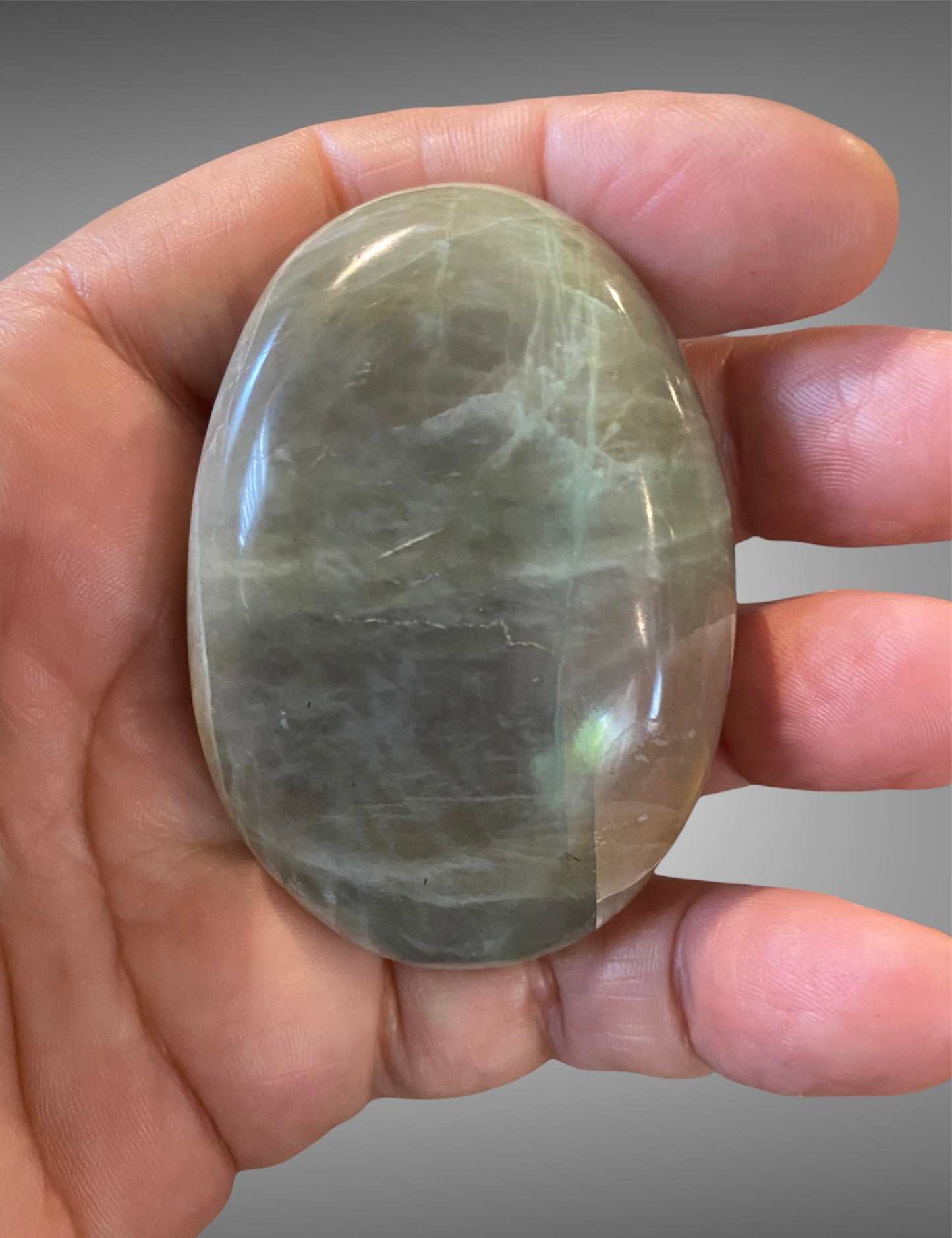 Natural Crystal Palm Stone Varieties