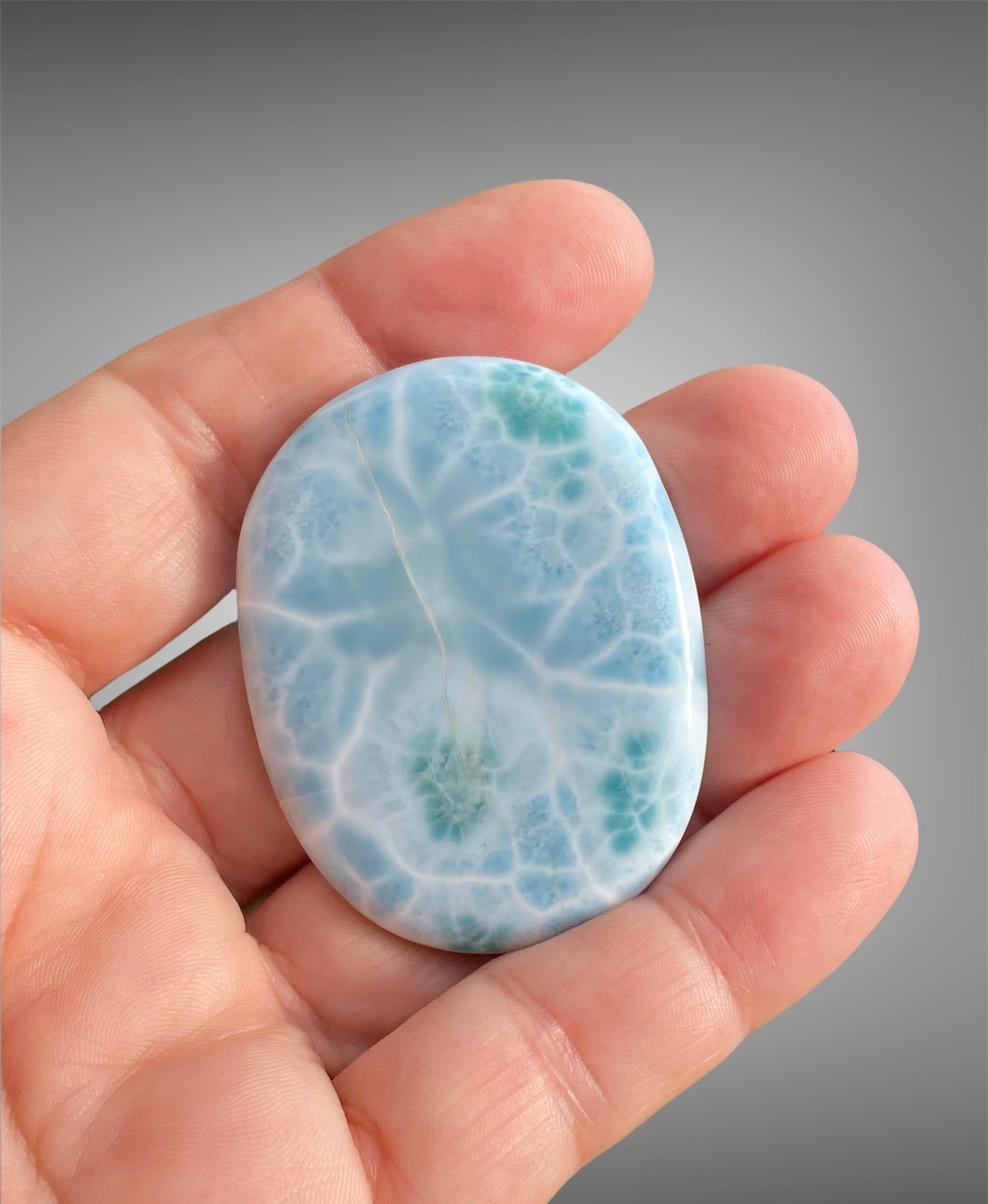 Natural Crystal Palm Stone Varieties
