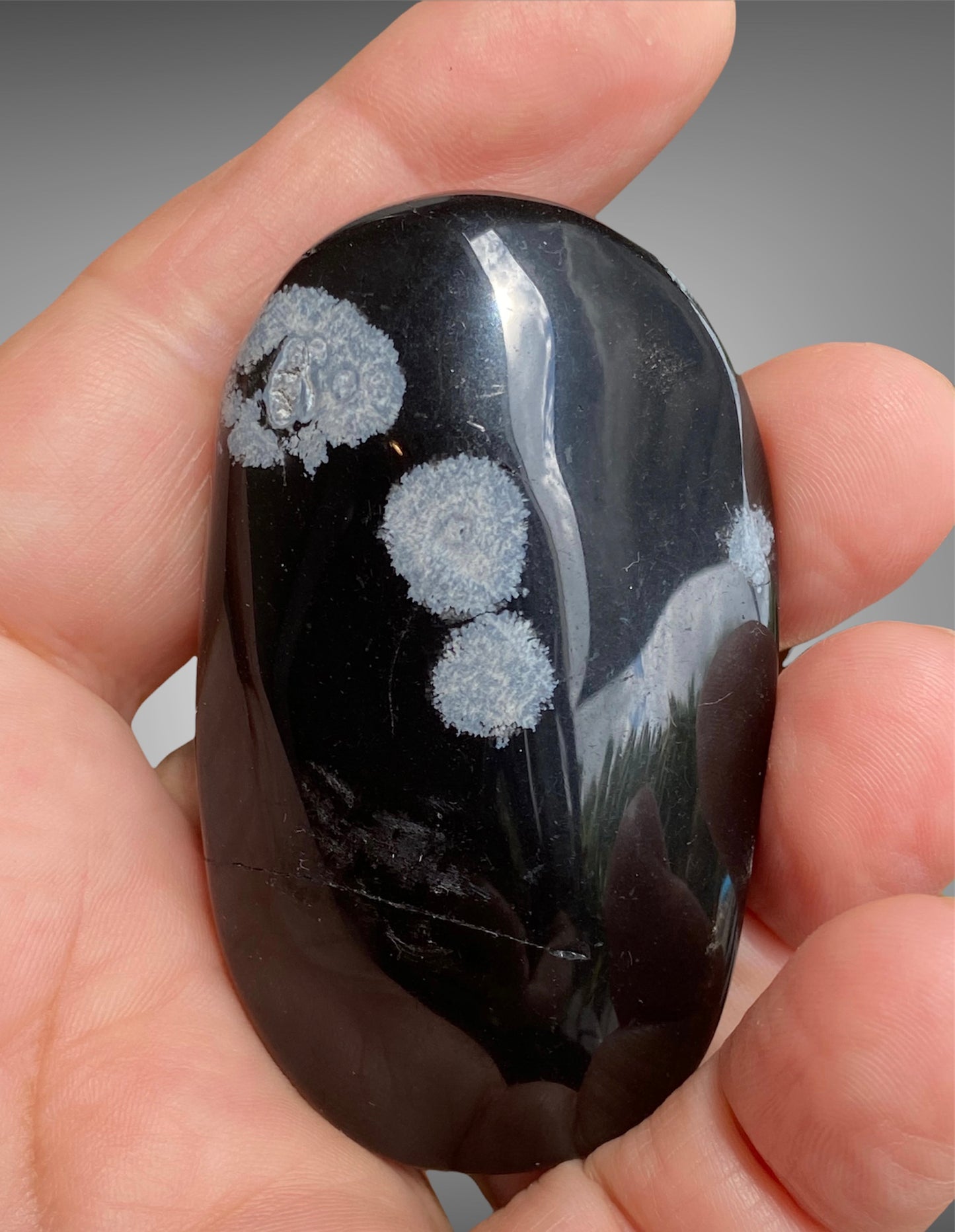 Natural Crystal Palm Stone Varieties
