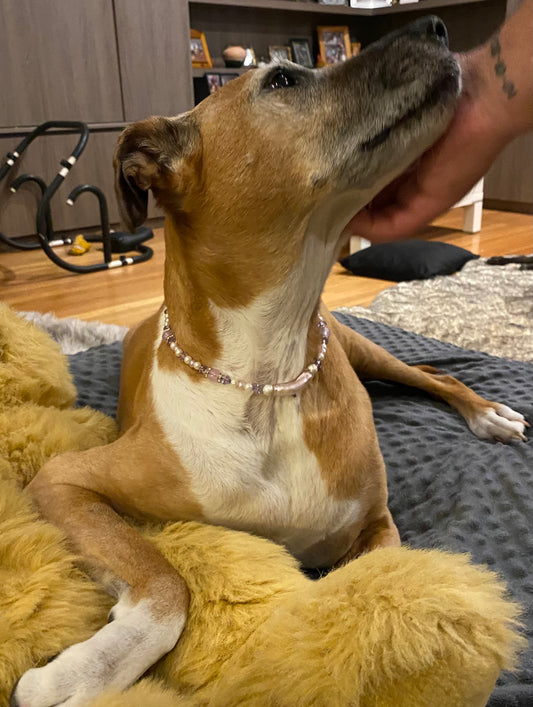 Custom made Glitzy Collar sold