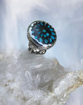 Sleeping Beauty Turquoise Inlaid Black Ammonite Ring SOLD